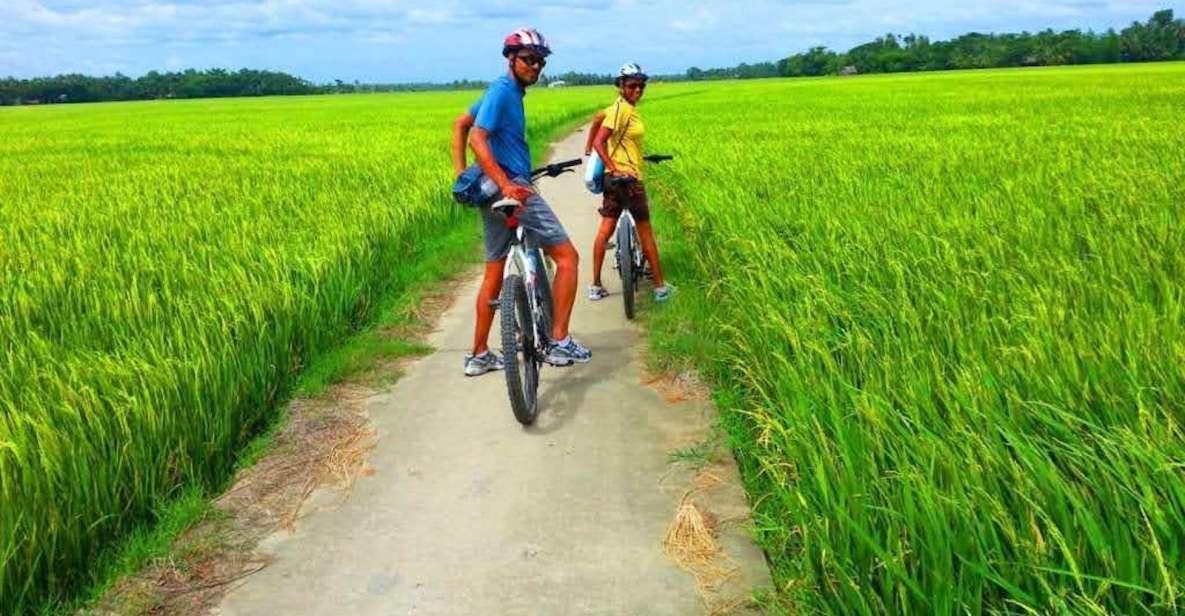 Daily TOUR HOI an COUNTRYSIDE BIKE TOUR Without Meal - Activity Highlights