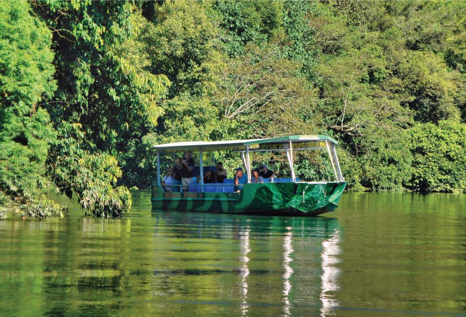 Daintree Rainforest: Crocodile & Wildlife River Cruises - Experience Highlights