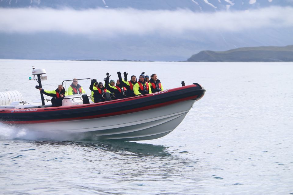 Dalvík: Whale Watching Speedboat Tour - Experience Highlights