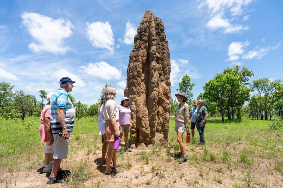 Darwin: 5-Day 4WD Kakadu, Litchfield Tour & Billabong Cruise - Experience Highlights and Itinerary Overview