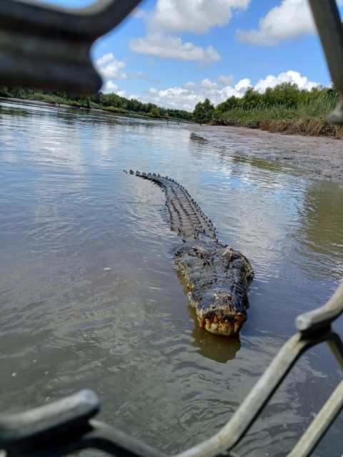 Darwin and Crocodile Tour - Tour Highlights