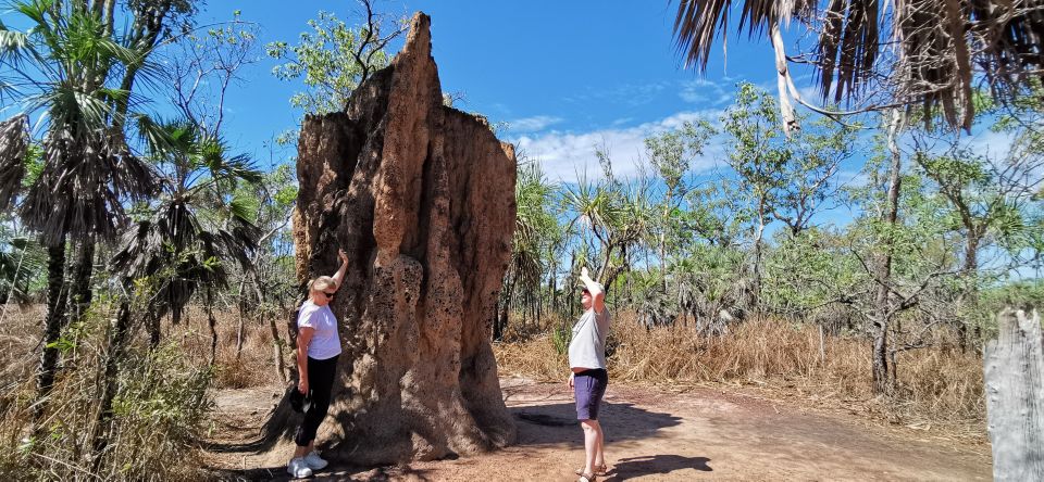 Darwin: Litchfield National Park and Berry Springs Day Tour - Itinerary Highlights