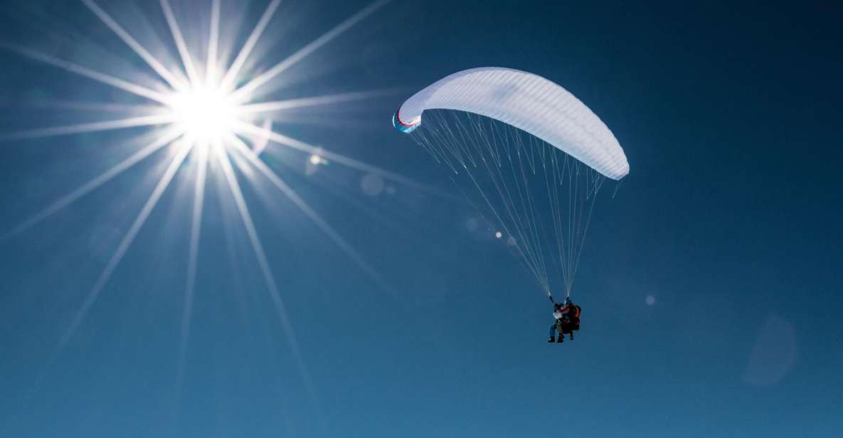 Davos: Tandem Paragliding Experience - Experience Highlights