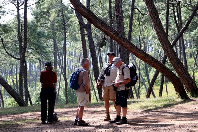 Day Hiking From Chandragiri Hill to Hattiban From Kathmandu - Chandragiri Hill Cable Car Experience