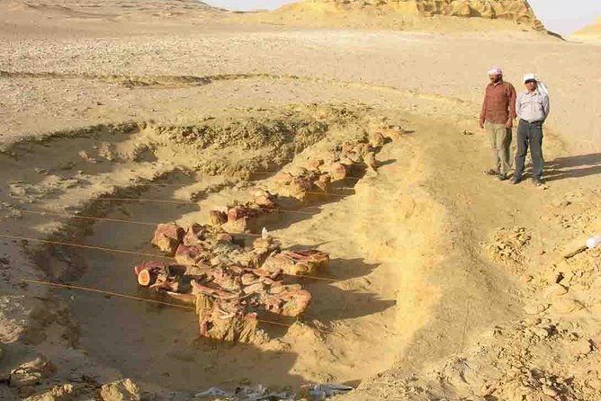 Day Trip to Valley of Whales From Cairo - Wadi El Hitan - Wadi El Hitan: Paleontological Significance