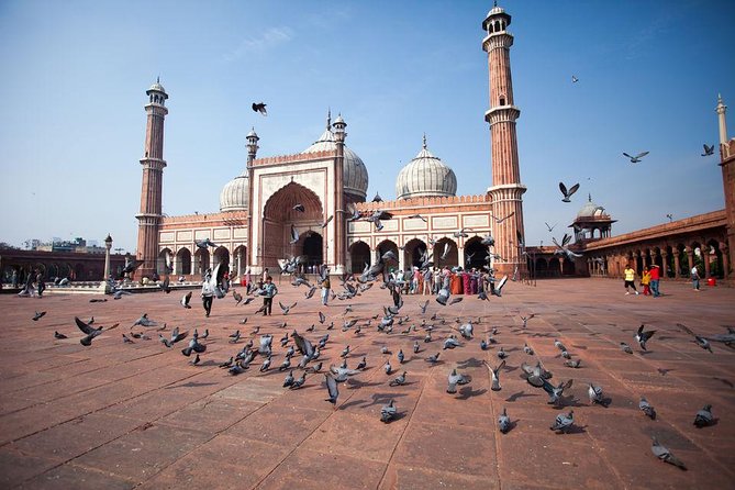 Delhi Full Day Including Old and New Delhi Private Tour - Tour Inclusions