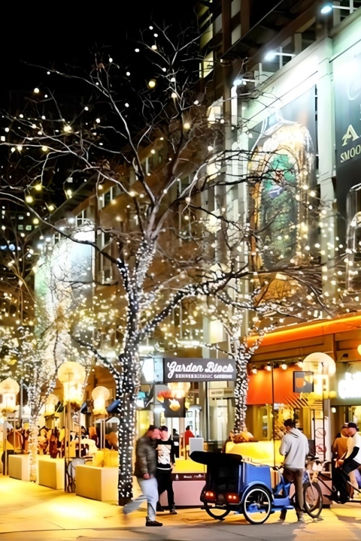 Denver Holiday Lights & Sights Bus Tour - Booking Information