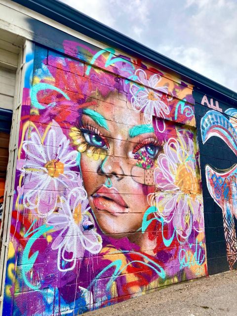 Denver's Famous Street Art & Murals Unplugged Tour - Experience Highlights