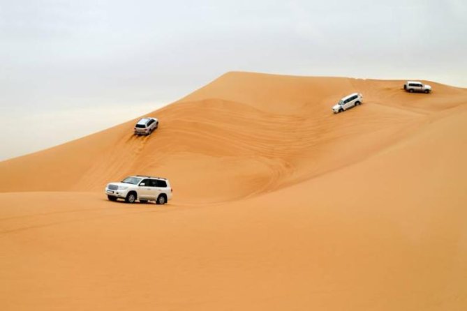 Desert Safari With Camel Ride and Dinner - Cultural Experience at Bedouin Camp