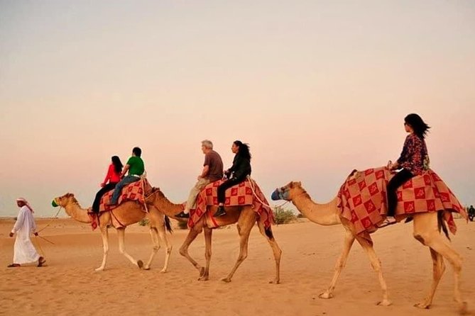 Desert Safari With Camel Ride - Customer Reviews