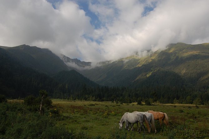 Dhorpatan Private Guided Trek - Accommodation Details