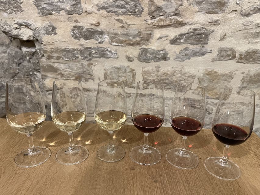 Dijon: Cheese and Burgundy Wine Tasting Workshop - Booking Information