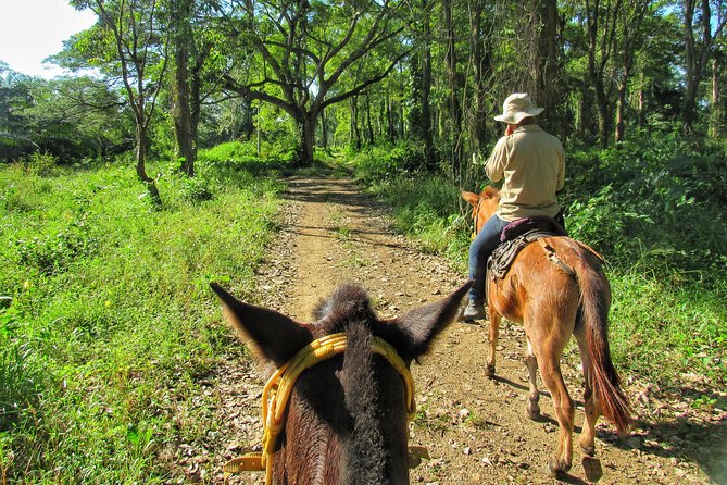 Discover a Nature Reserve on Horseback - Horseback Riding Tour Highlights