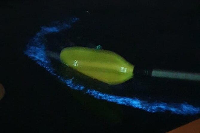 Discover Bioluminescent Plankton Using Kayak in Lan Ha Bay - Night Kayaking in Lan Ha Bay