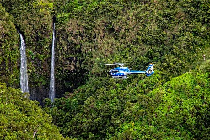 Discover Kauai Helicopter Tour From Princeville - Check-in and Weight Requirements