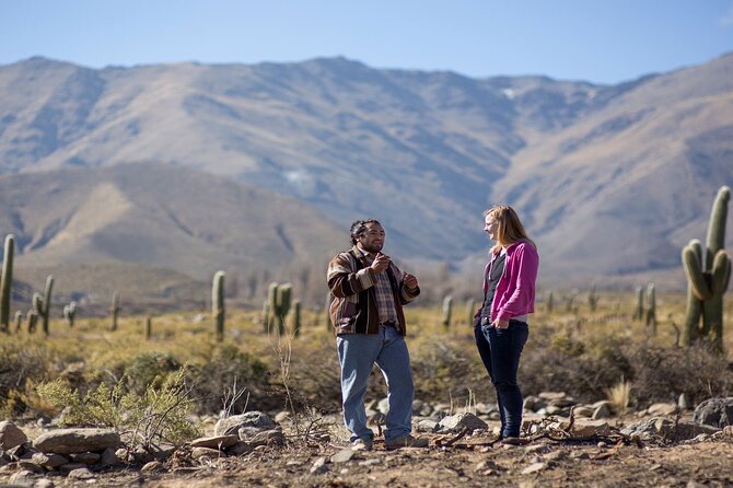 Discover Tafí Del Valle and Quilmes Ruins in a Day Tour - Departure Details