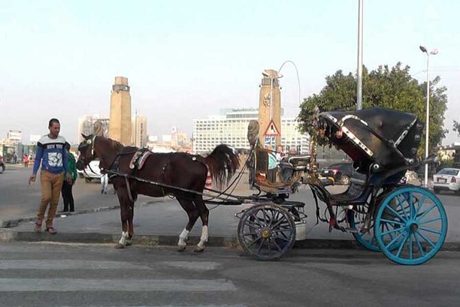 Discover The Amazing Nightlife Of Cairo And Riding the Carriage - Riding a Carriage Through Cairo