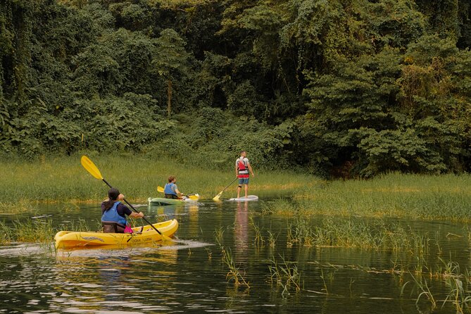 Discover the Beauty of Arenal Lake on a Guided Kayaking Tour - Pickup and Logistics