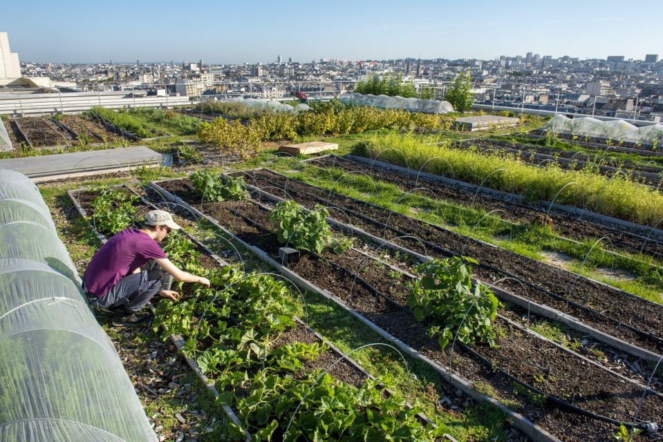 Discover the Opéra Bastille Rooftop Farm - Tour Details and Duration