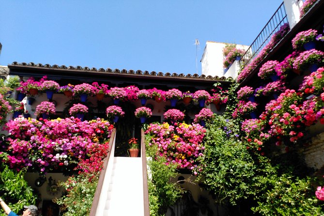 Discover the Patios De Córdoba: Guided Tour - Meeting Point Details