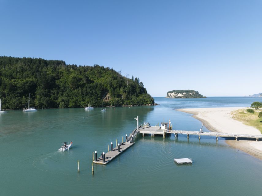 Discover Whangamata - Boat Tour - Experience Highlights