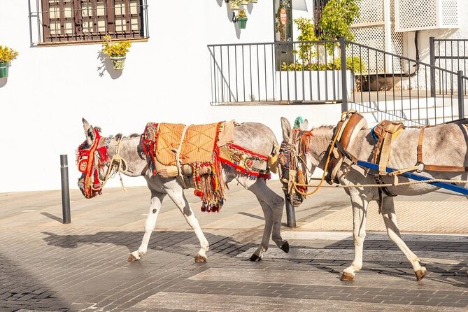 Discovering the Best of Mijas Private Guided Tour - Highlights of the Tour Experience