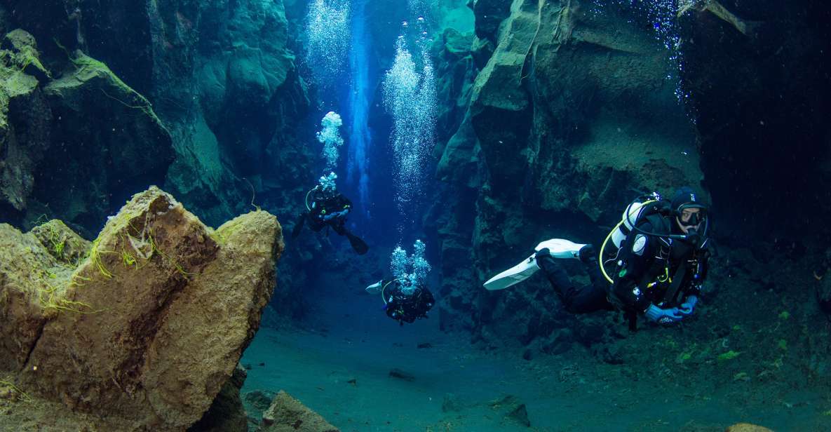 Diving in Silfra Fissure in Thingvellir National Park - Experience Highlights