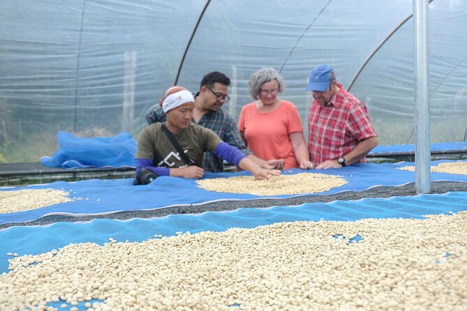 Doi Inthanon Nationalpark-Coffee Workshop From Roast to Brew Tour - Workshop Schedule