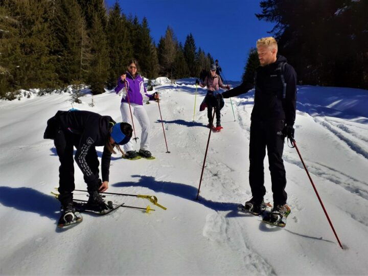 Dolomites Snowshoes Winter Hike - Activity Description