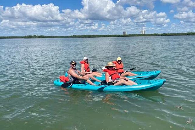 Dolphin and Manatee Kayak Tour of Daytona Beach - Additional Information