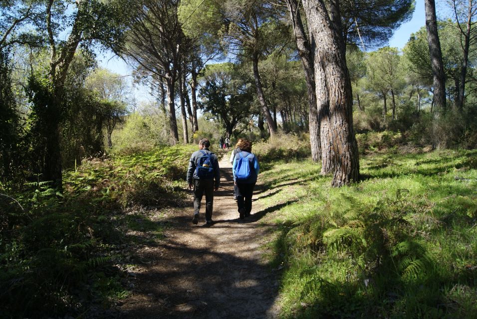 Doñana National Park Off-Road Tour From Seville - Language Options and Cancellation Policy