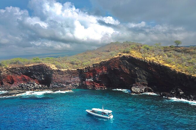 Double Reef Snorkel, Dolphin & BBQ - Meeting Point Details