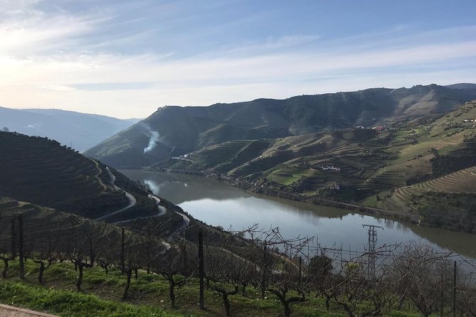 Douro Valley Private Full-Day Tour From Porto - Reviews and Ratings