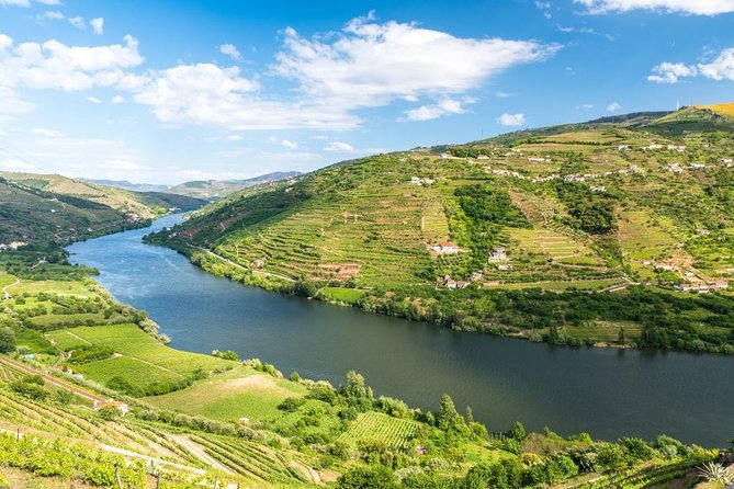 Douro Valley Private Tour With Wine Tasting and Boat Tour - Scenic Boat Tour