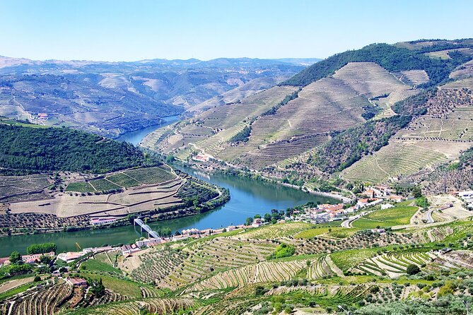 Driver With Private Vehicle in the Douro Valley - Traveler Experience