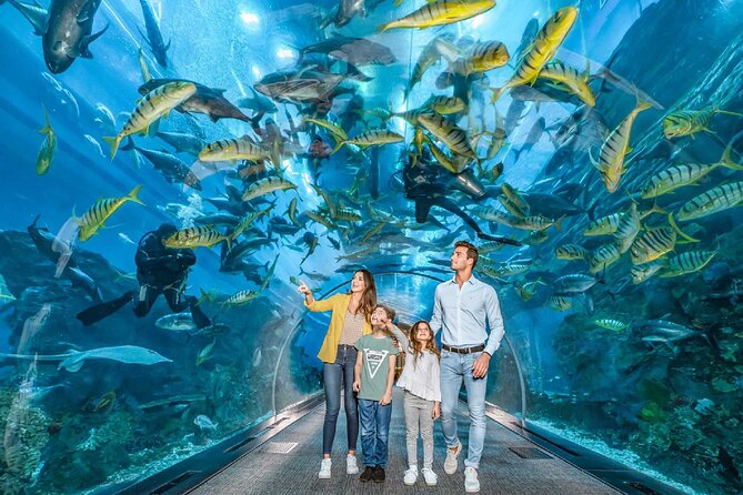 Dubai Aquarium and Underwater Zoo - Experience Highlights and Overview