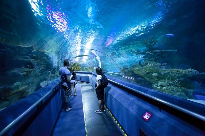 Dubai Aquarium and Underwater Zoo Ticket - Experience Inclusions and Details