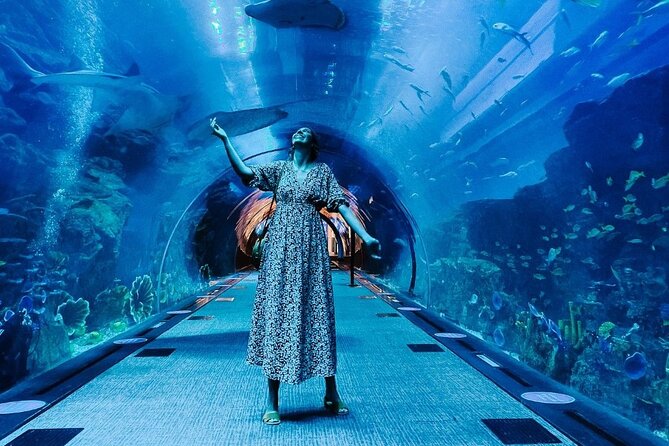 Dubai Aquarium and Underwater Zoo Tickets - Admission Inclusions