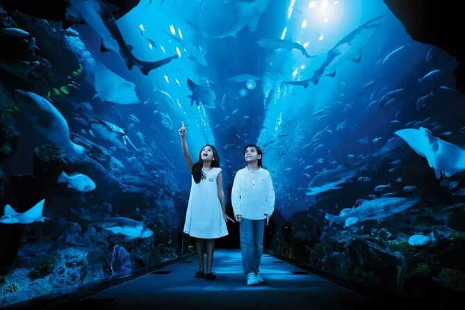 Dubai Aquarium and Underwater Zoo With Penguin - Benefits of Prebooking