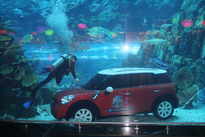 Dubai Aquarium & Underwater Zoo - Basic - Meeting and Pickup Information