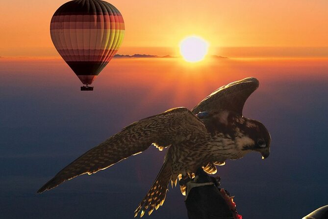 Dubai Beautiful Desert by Hot Air Balloon With Falcon Show - Inclusions