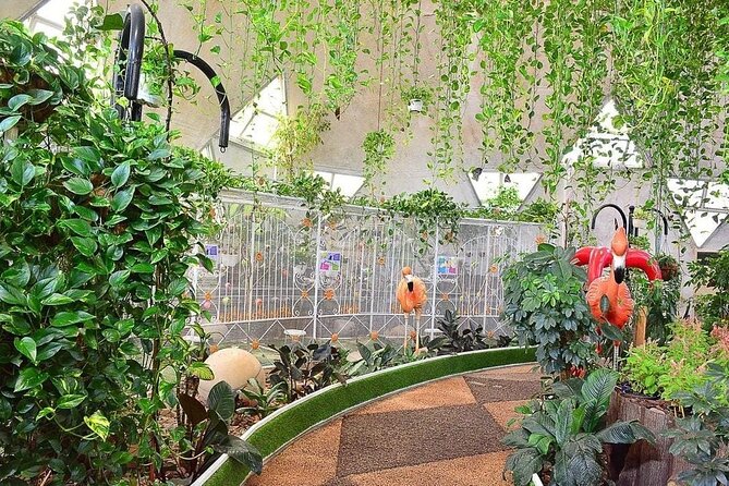 Dubai Butterfly Garden - Pricing and Ticket Information