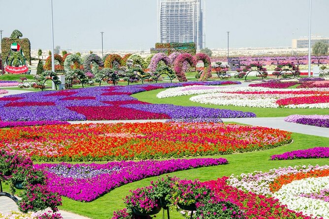 Dubai Combo: Miracle Garden With Dubai Frame Tickets - Highlights