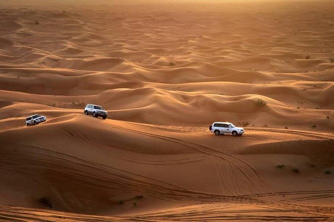 Dubai: Desert Quad Bike Safari, Camel Ride, Sand Surf, & BBQ - Customer Reviews and Ratings