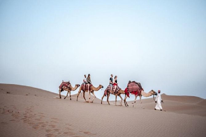 Dubai Desert Safari With Camel Ride, Horse Ride, Falcon Photography & Dinner - Adventure Activities