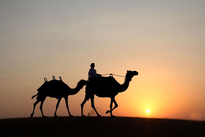 Dubai: Desert Safari With Camel Ride - Tour Schedule