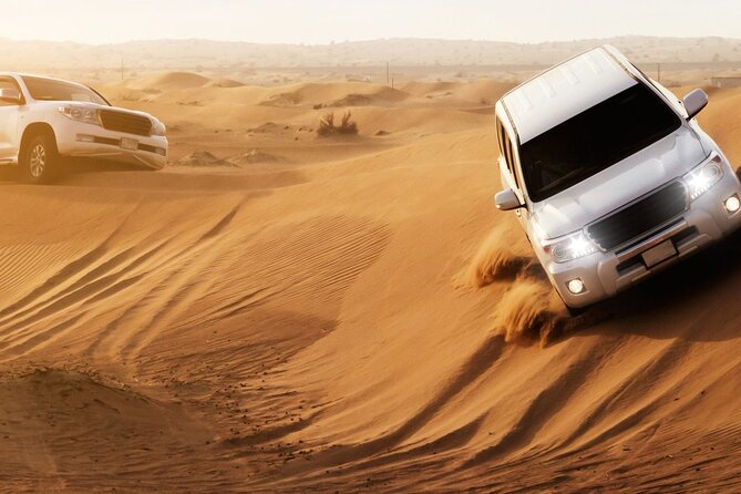 Dubai Desert Safari With Dune Bashing, Camel Rides & BBQ Dinner - Review Verification