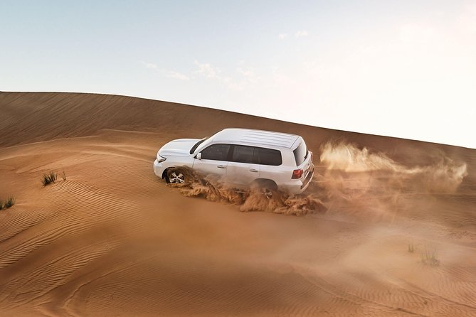 Dubai Lahbab Desert Safari With BBQ Dinner - Customer Reviews