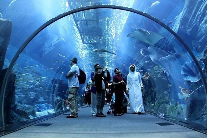 Dubai Mall Aquarium and Underwater Zoo Ticket - Accessibility Information