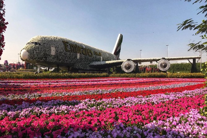 Dubai Miracle Garden Ticket With Transfer - Reviews and Ratings